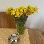 Mit Gepflegtem Garten In By Interhome