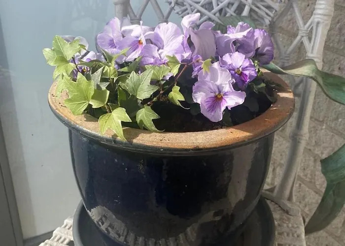 Mit Gepflegtem Garten In By Interhome