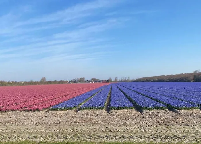 Casa de Férias Mit Gepflegtem Garten In By Interhome