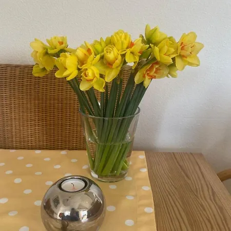Mit Gepflegtem Garten In By Interhome