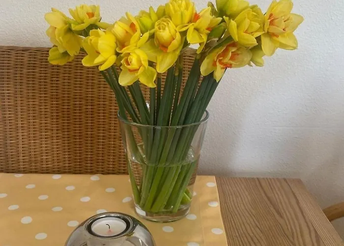 Mit Gepflegtem Garten In By Interhome