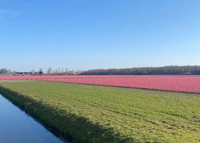 بيت للعطل Mit Gepflegtem Garten In By Interhome جوليانادورب